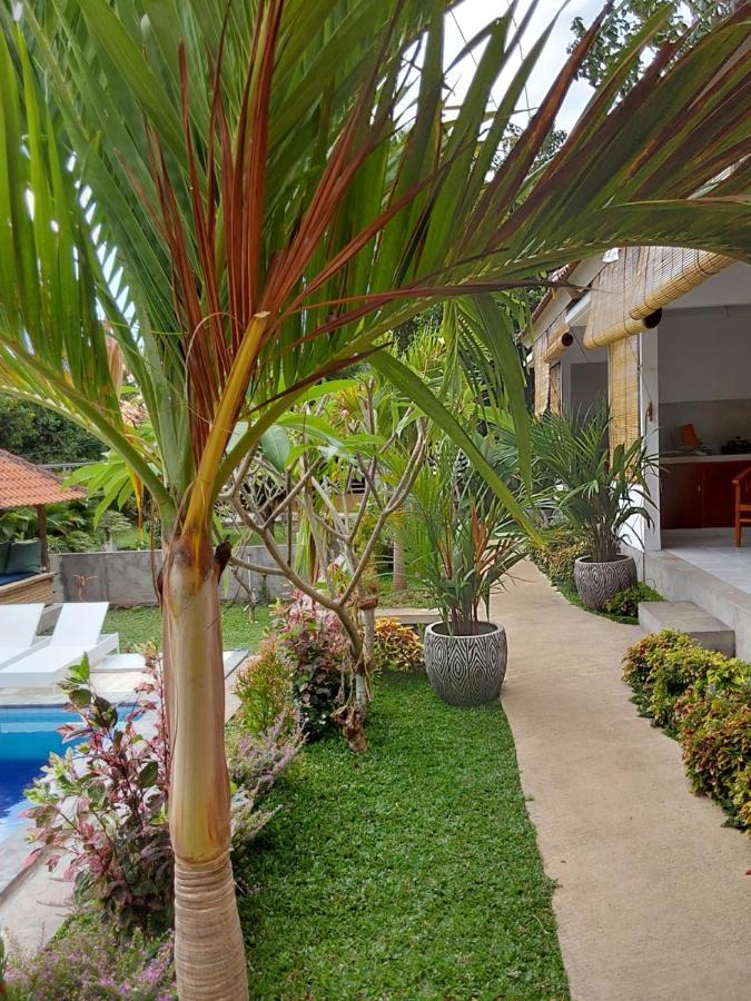 Okaoki Homestay Амед Экстерьер фото